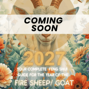 Feng Shui Consultation