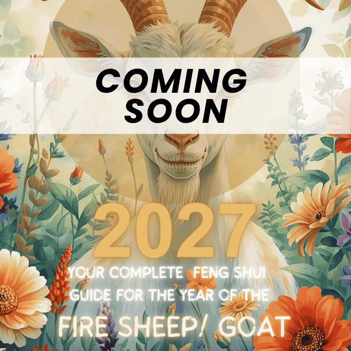 Feng Shui Consultation